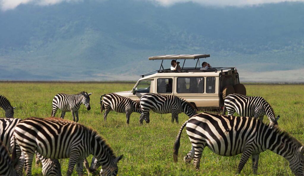 Tanzania Joy Volunteer